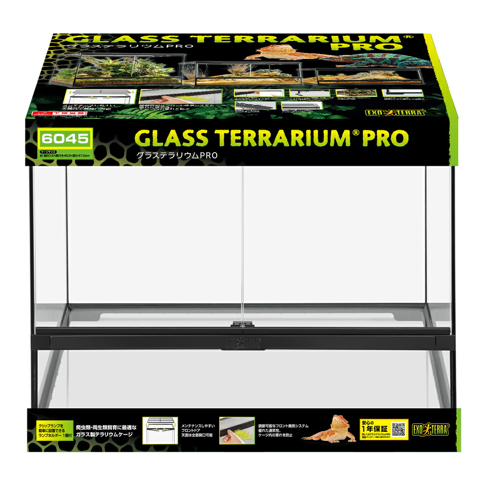 グラステラリウム6045」の人気商品一覧 | 安い商品を通販サイトから