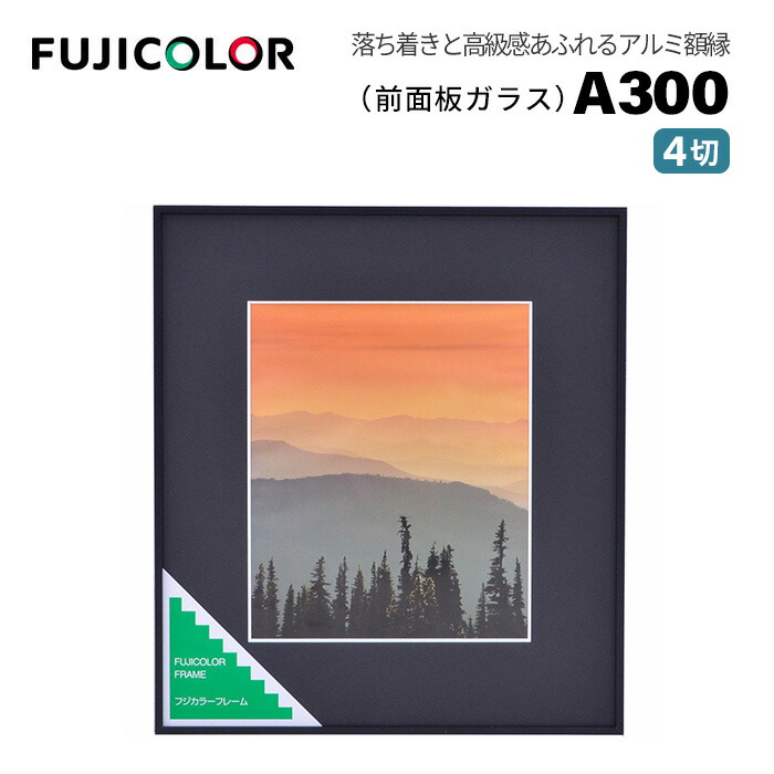 フジカラー A-300」の人気商品一覧 | 安い商品を通販サイトから探す