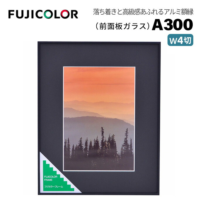 フジカラー A-300」の人気商品一覧 | 安い商品を通販サイトから探す