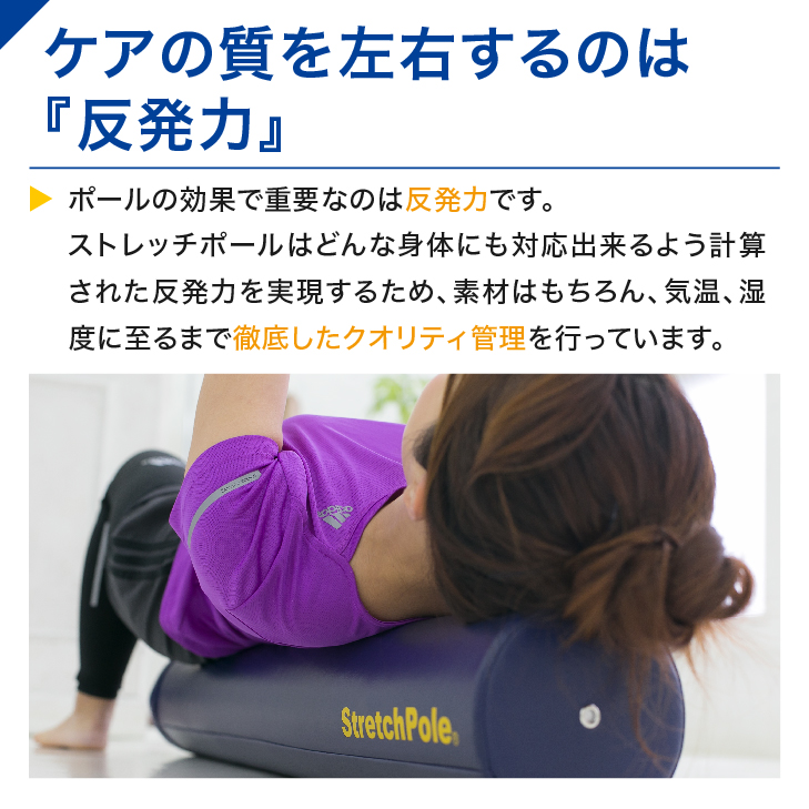ドリーです！[正規品]StretchPole ネイビー スタートブック付き 楽天