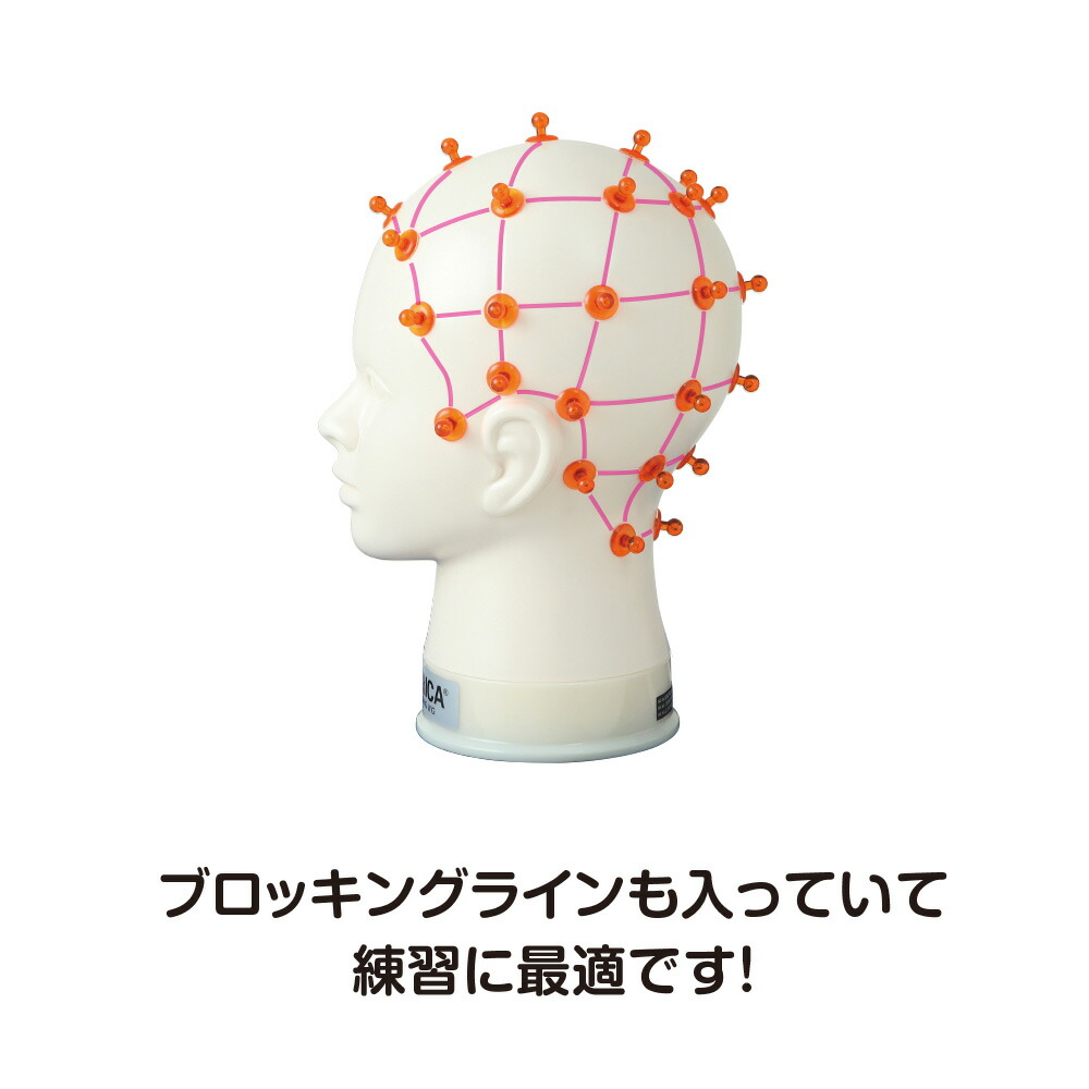 楽天市場】ポリカトレーニングウィッグセット 美容教育 美容師 道具