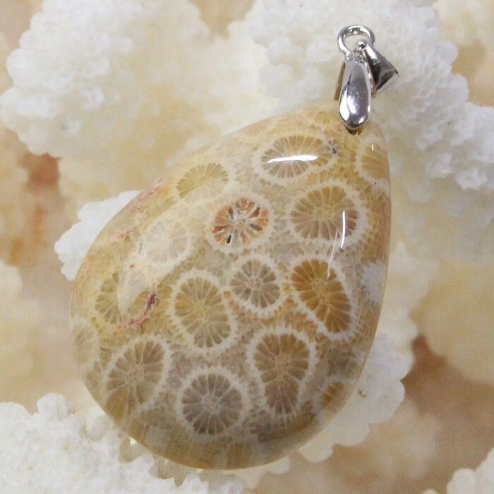 楽天市場】【天然石 ペンダントトップ 大粒】珊瑚 化石 ペンダント