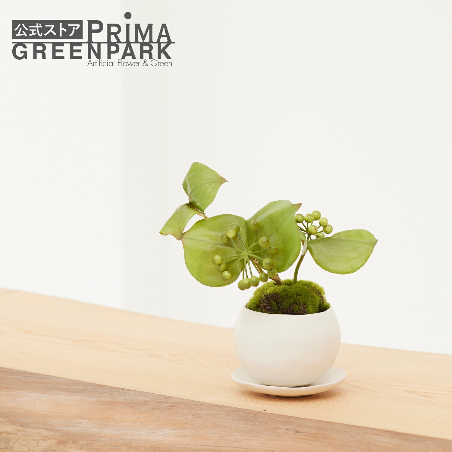 楽天市場】【公式】サンキライ 皿付小鉢 白 CUPBON 盆栽 フェイク