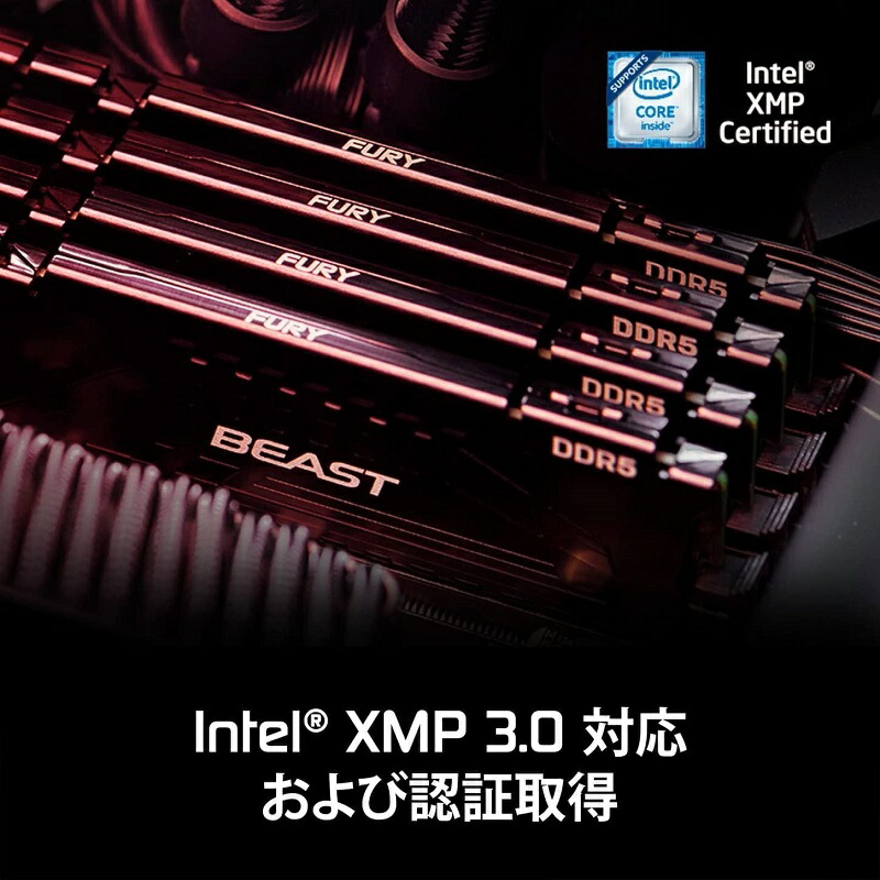 楽天市場】キングストン FURY Beastシリーズ ブラック 32GB (16GB×2枚