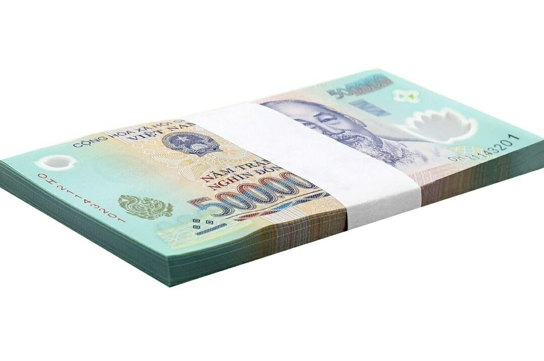 楽天市場】【品質保証書付】ベトナム ドン 50万ドン 50枚 ベトナムドン