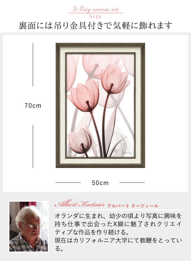 楽天市場】x-ray アートフレーム キャンバスアート 花 アートパネル
