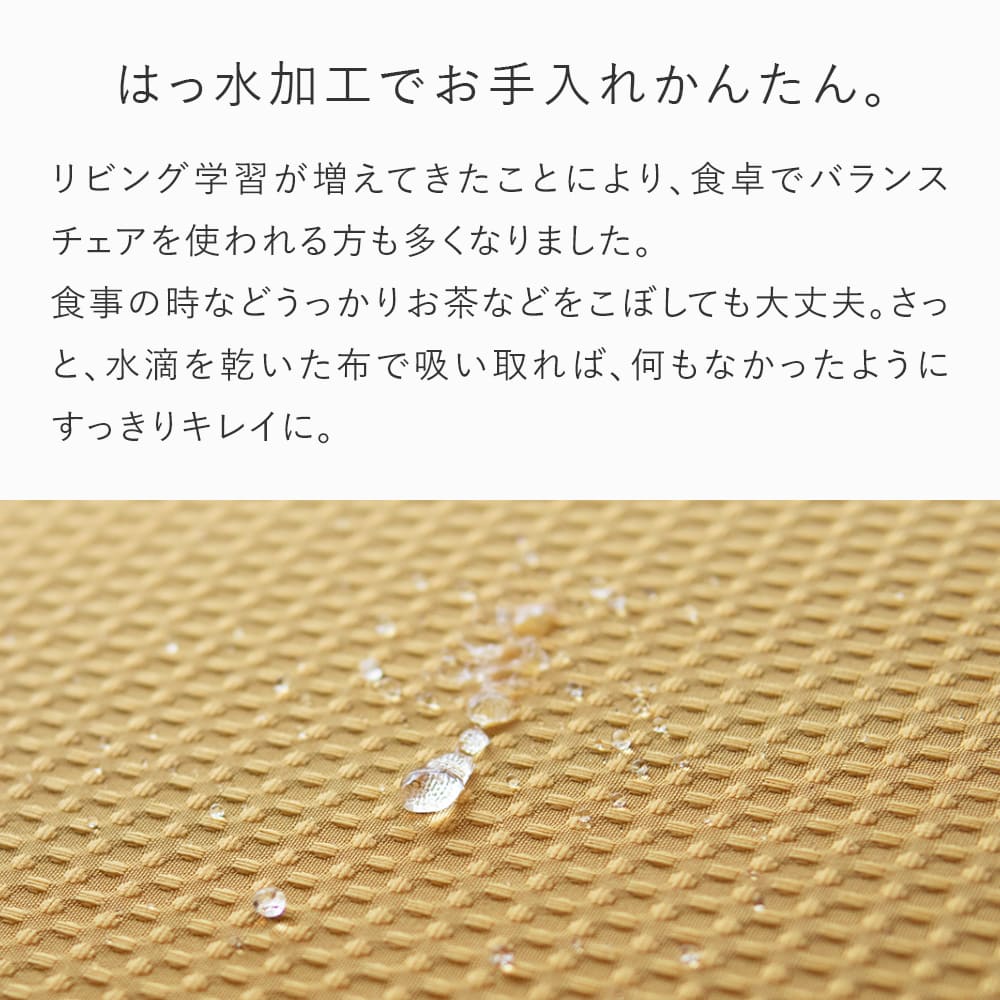 楽天市場】バランスチェア バランスイージー 撥水 カバー ドット