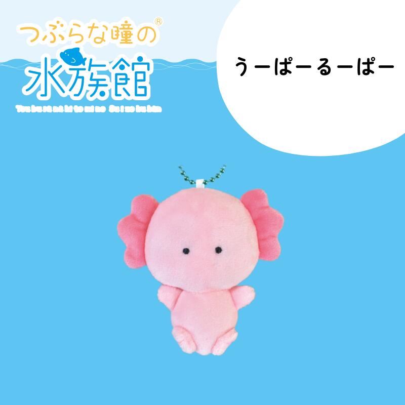 楽天市場】つぶらな瞳の水族館 ぬいぐるみマスコットキーチェーン 海