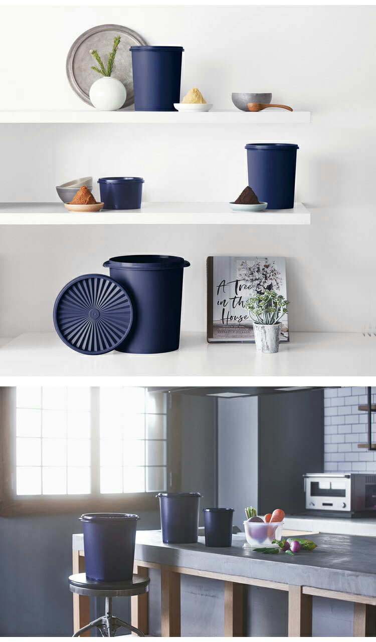 楽天市場】タッパーウェア マキシクイーンデコレーター 密封 密封 保存