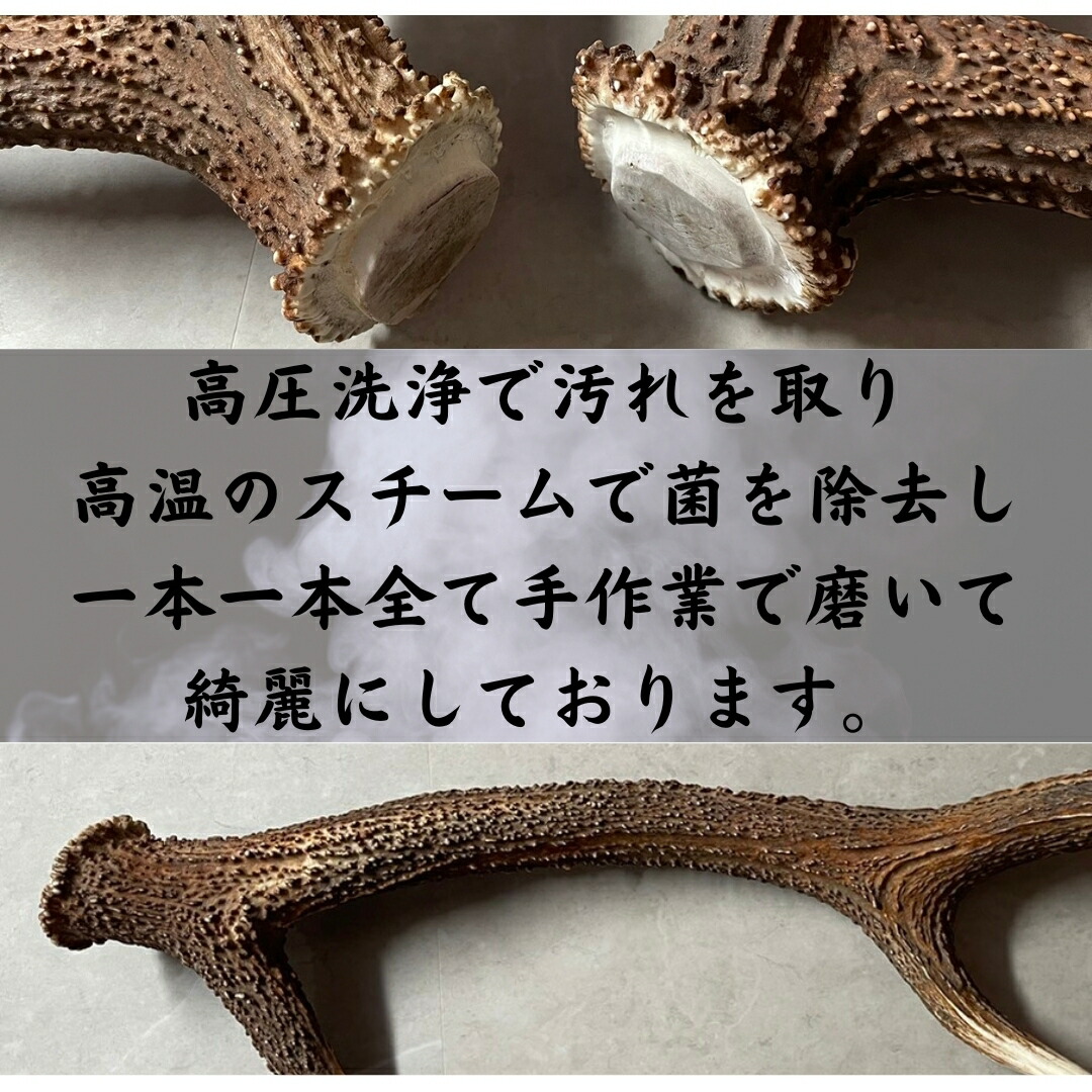 楽天市場】鹿の角 枝先10cm前後を200gセット アクセサリー用 パーツ