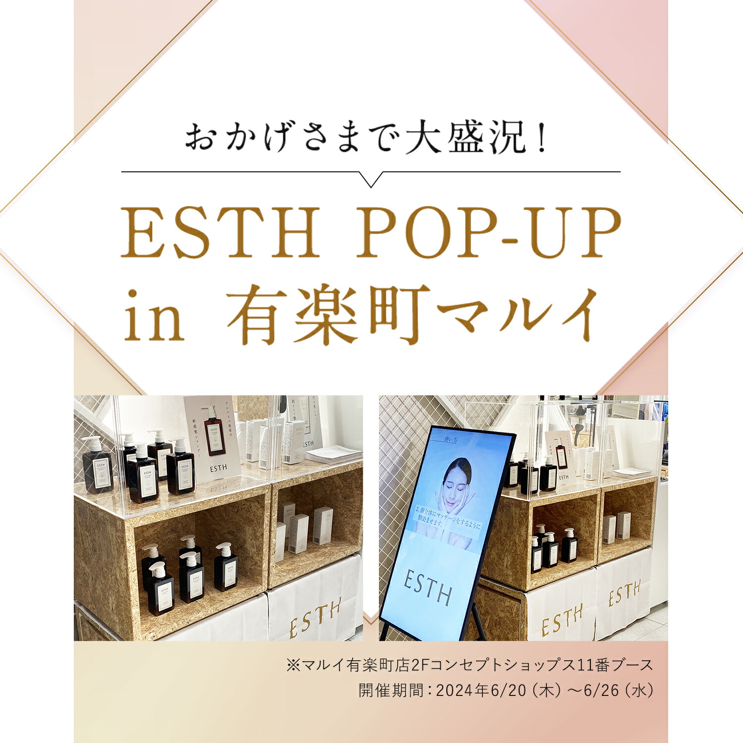 楽天市場】《公式》 ESTH エス ハーブピーリング クレンジング 毛穴