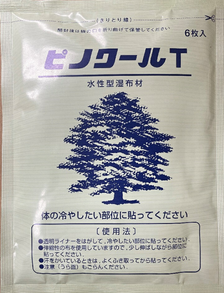 楽天市場】大協薬品工業 ピノクールT 6枚入 水性型型湿布材 : REG 健生堂