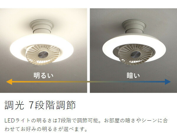 楽天市場】【2大特典付き】シーリングライト シーリングファン【正規