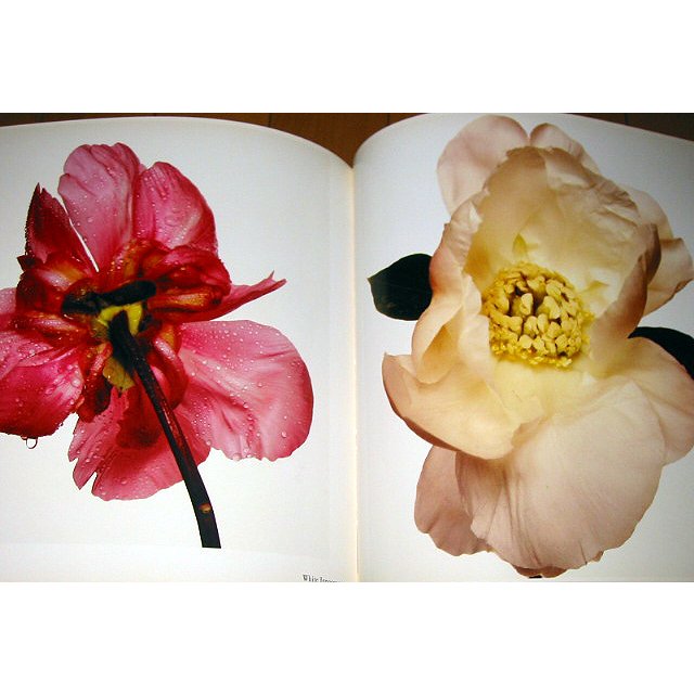 楽天市場】洋書写真集 フラワーズ/アービング・ペン/ FLOWERS/Irving