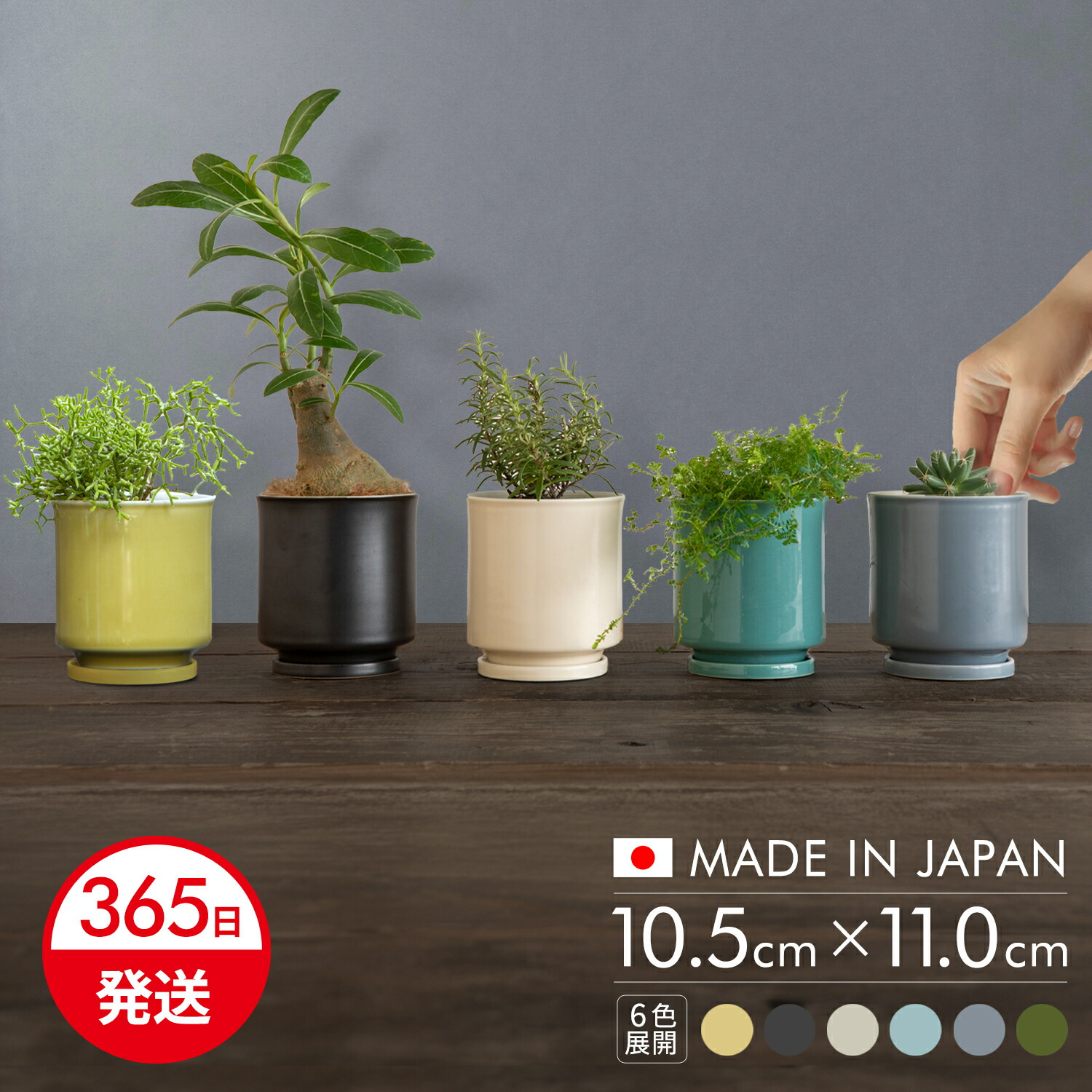 獅子の絵柄 陶器 植木鉢カバー 楽天市場】プランターカバー 鉢カバー