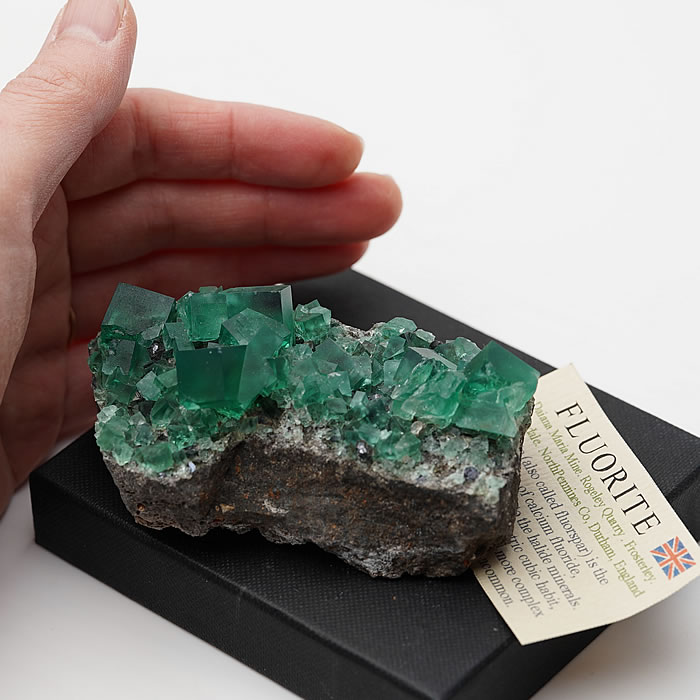 楽天市場】【一点物】【希少】【蛍光】ロジャリーフローライト 原石