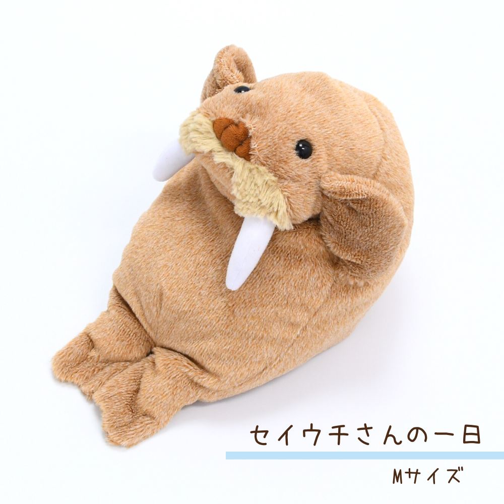 楽天市場】セイウチさんの一日 Mサイズ ぬいぐるみ | 26cm セイウチ