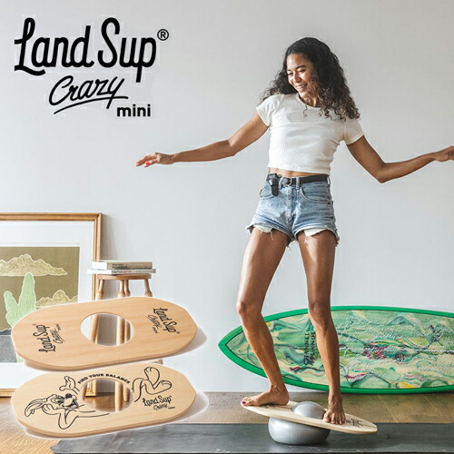 楽天市場】送料無料 サーフィン 体幹 トレーニング 陸トレ バランス