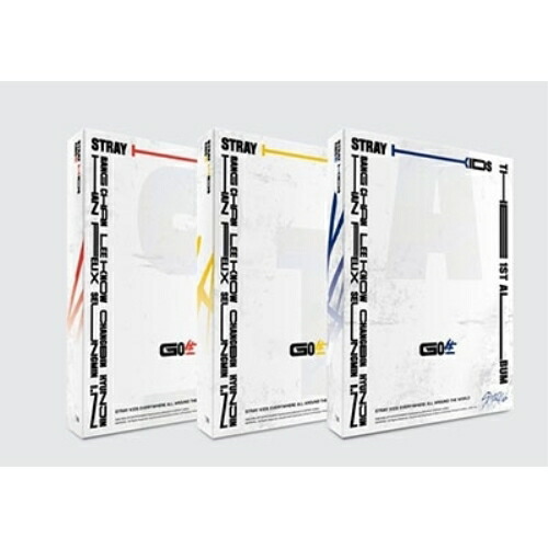 楽天市場】stray kids go生の通販