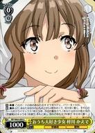 楽天市場】梓川 かえでの通販