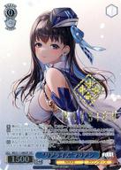 楽天市場】ヴァイスシュヴァルツ sspの通販