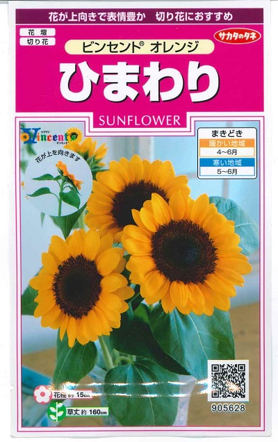 楽天市場】花種子 ひまわり「ビンセント オレンジ」15粒（サカタのタネ