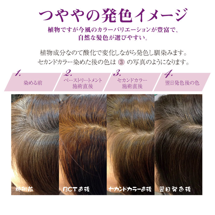 楽天市場】ヘナ白髪染め ヘナつやや ヘナ天然100% ヘナ業務用 ヘナAAA