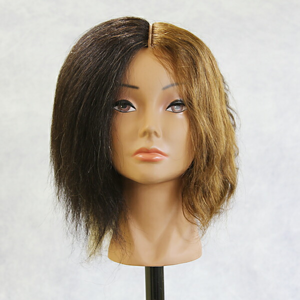 楽天市場】○Cut Wig カットウィッグ 2022B フォーカラー : サロン
