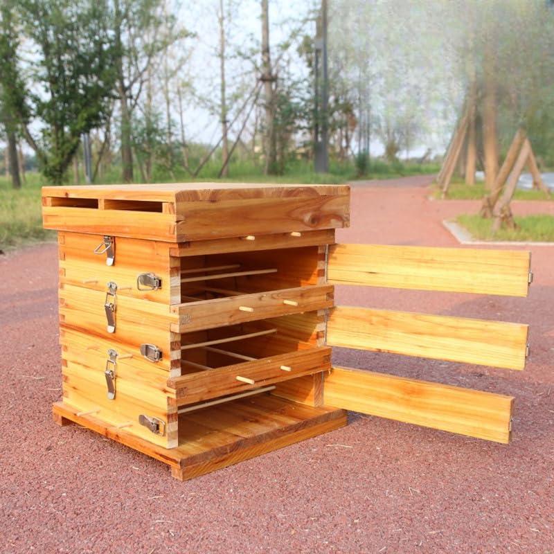 楽天市場】3/5階 蜜蜂巣箱 ミツバチ 巣箱 重箱式 養蜂箱 養蜂用具 杉材