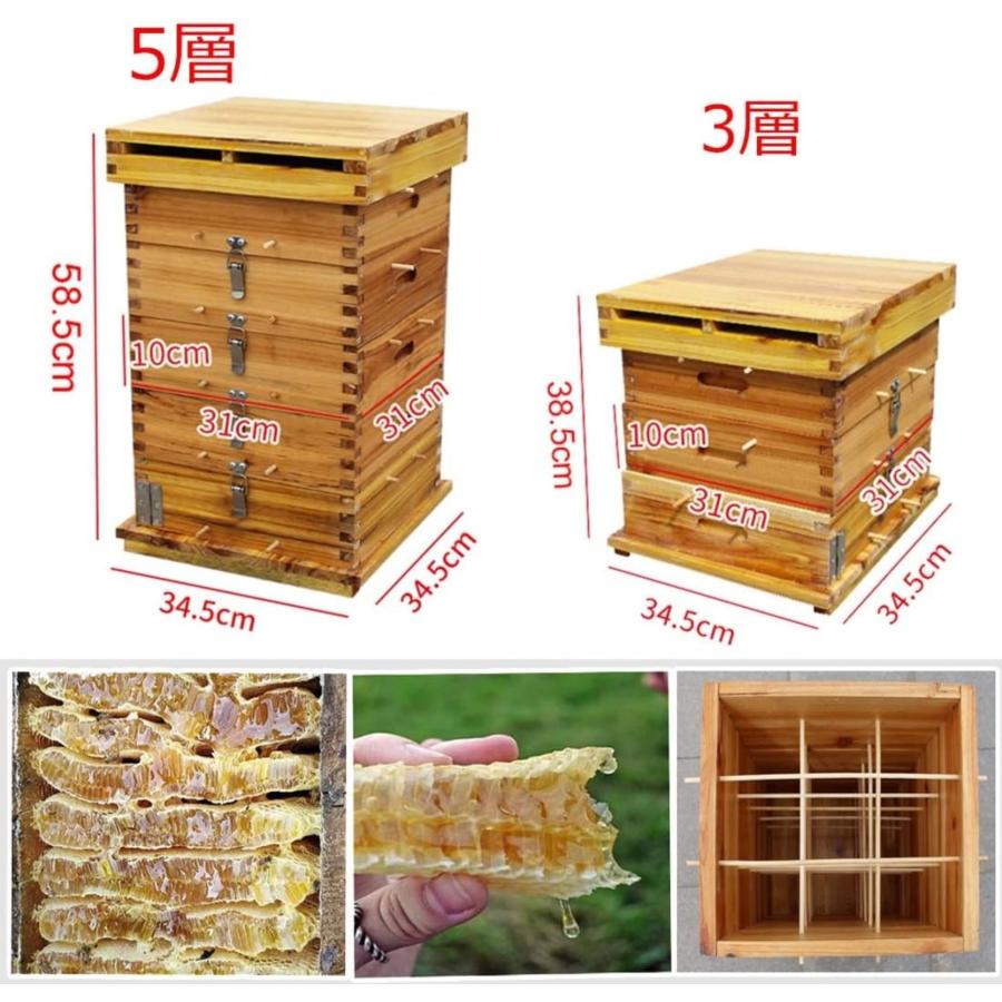 楽天市場】3/5階 蜜蜂巣箱 ミツバチ 巣箱 重箱式 養蜂箱 養蜂用具 杉材
