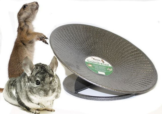 楽天市場】『 トレッドミルホイール 大 14インチ(約35.56cm