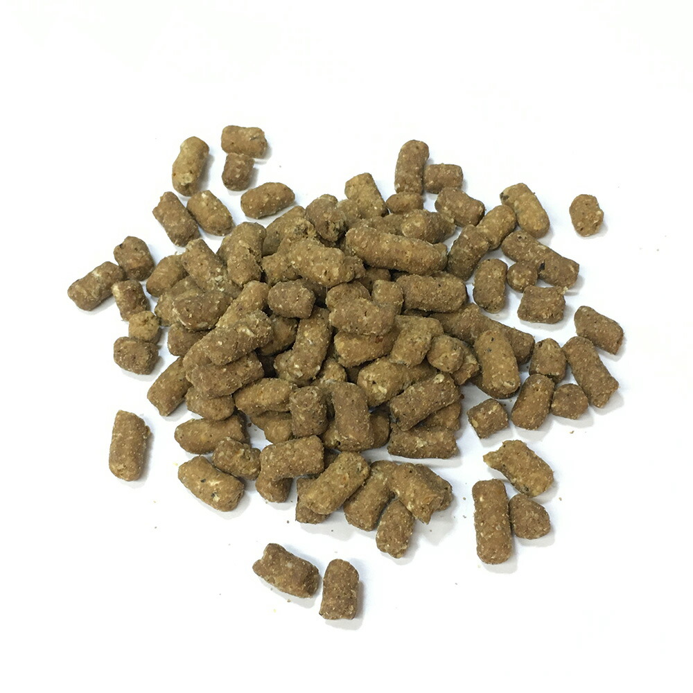 楽天市場】『【国産】 マーシャル プレミアムフェレットフード 【 大