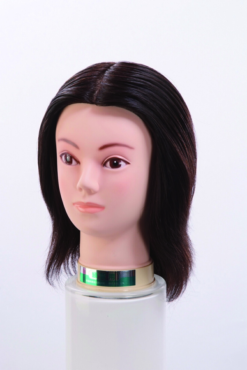 楽天市場】国家試験 カットウィッグの通販