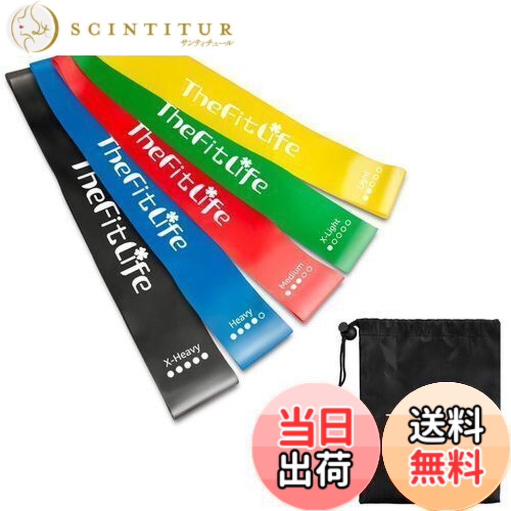 楽天市場】【送料無料】TheFitLife トレーニングチューブ 筋トレ