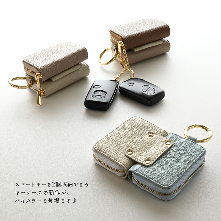楽天市場】スマートキーケース ダブル マグネットタイプ バイカラー