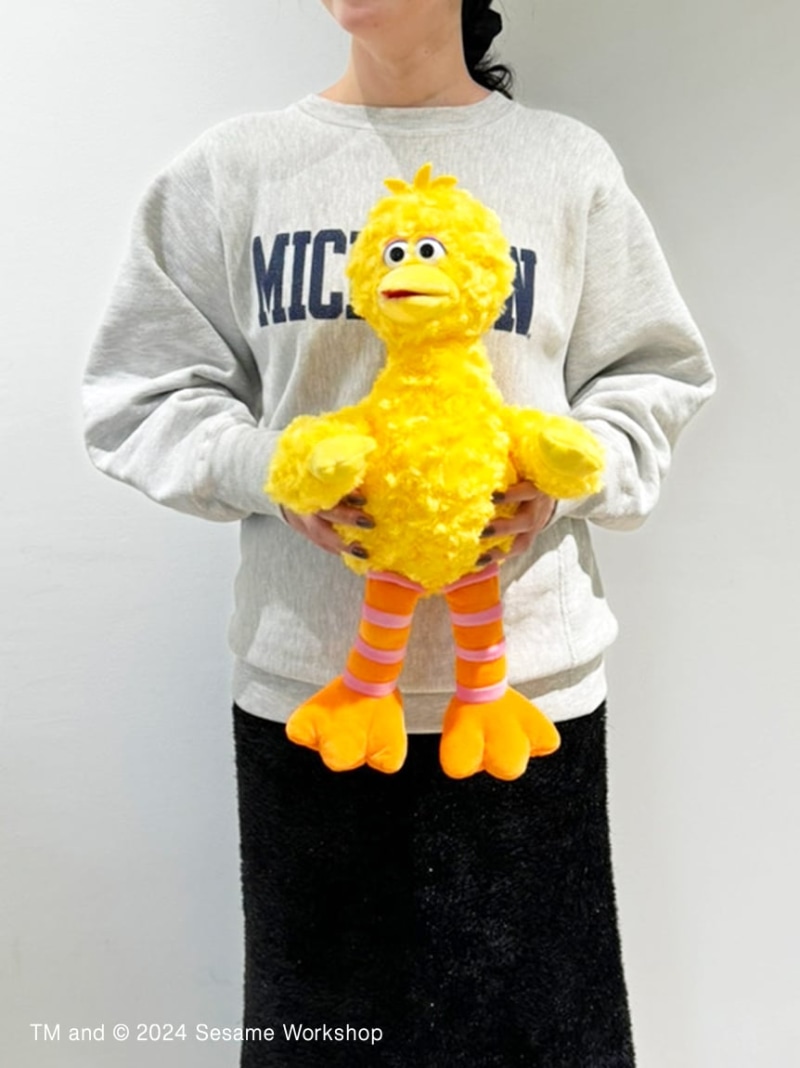 楽天市場】ぬいぐるみM ビッグバード SESAME STREET MARKET セサミ