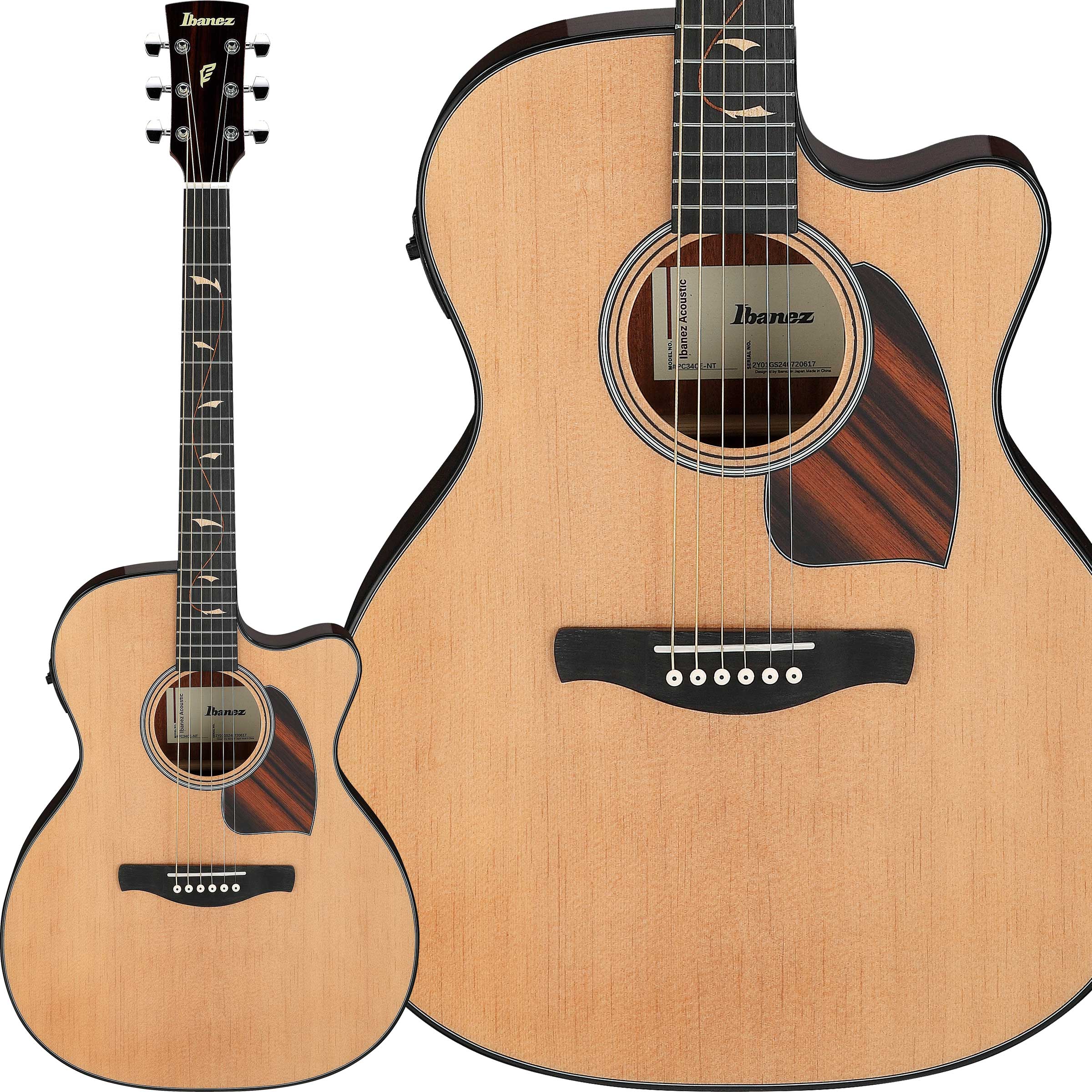 Ibanez AEL12E-RTK エレアコ ブラック ハードケース付き 2026年最新