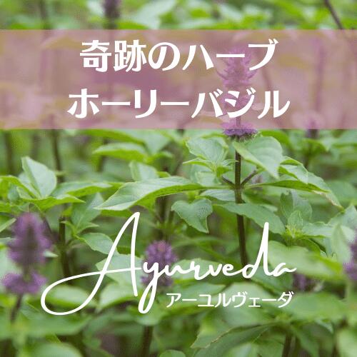 楽天市場】国産 有機 原料 ホーリーバジル ( トゥルシー ) 60粒