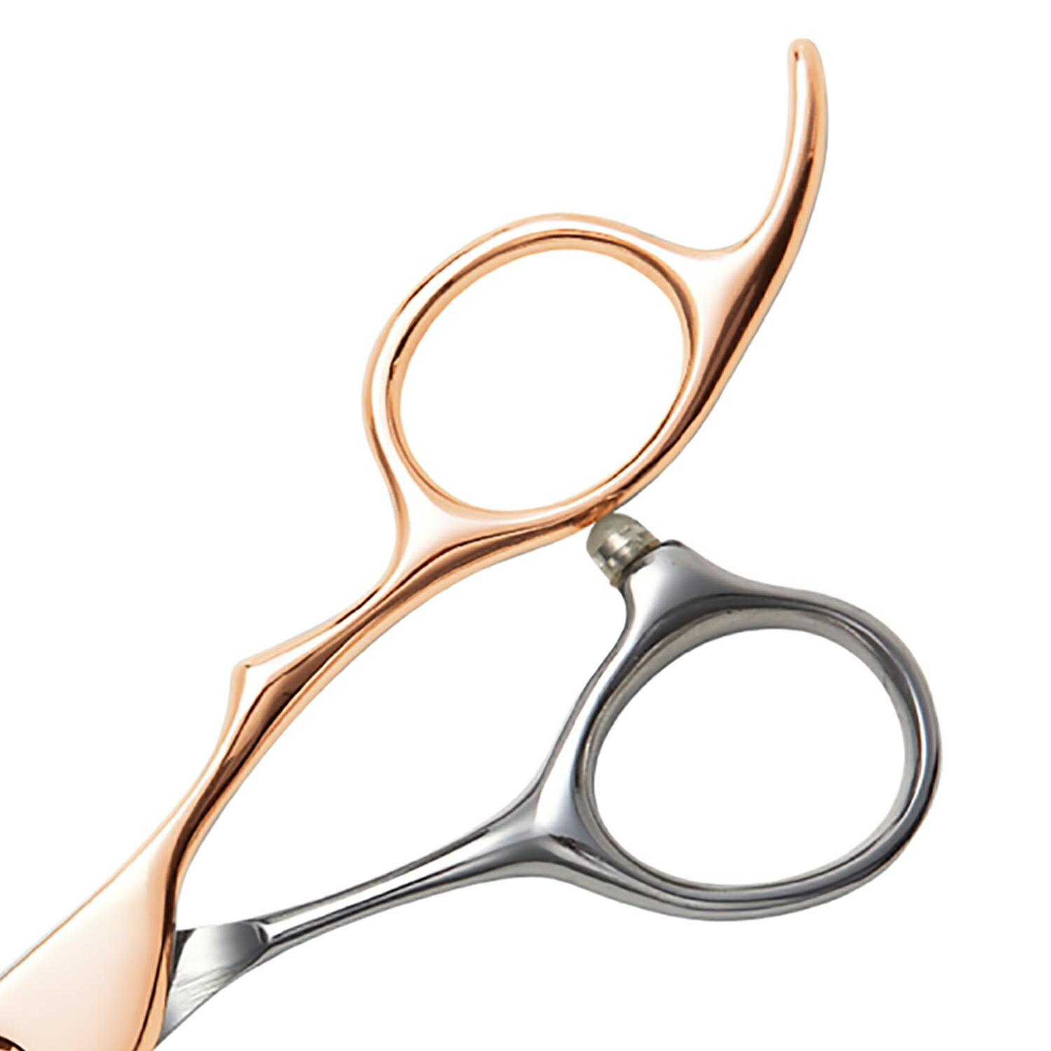 楽天市場】日本の鋏専門メーカー 理美容師専用 / 【PF】DEEDS GTZ