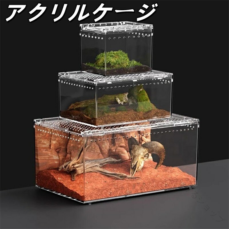 楽天市場】ケージ 爬虫類倶楽部の通販