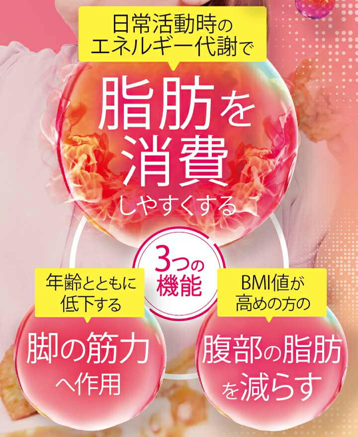 楽天市場】【公式】 シボリスト 脂肪 減らす ダイエット 体脂肪