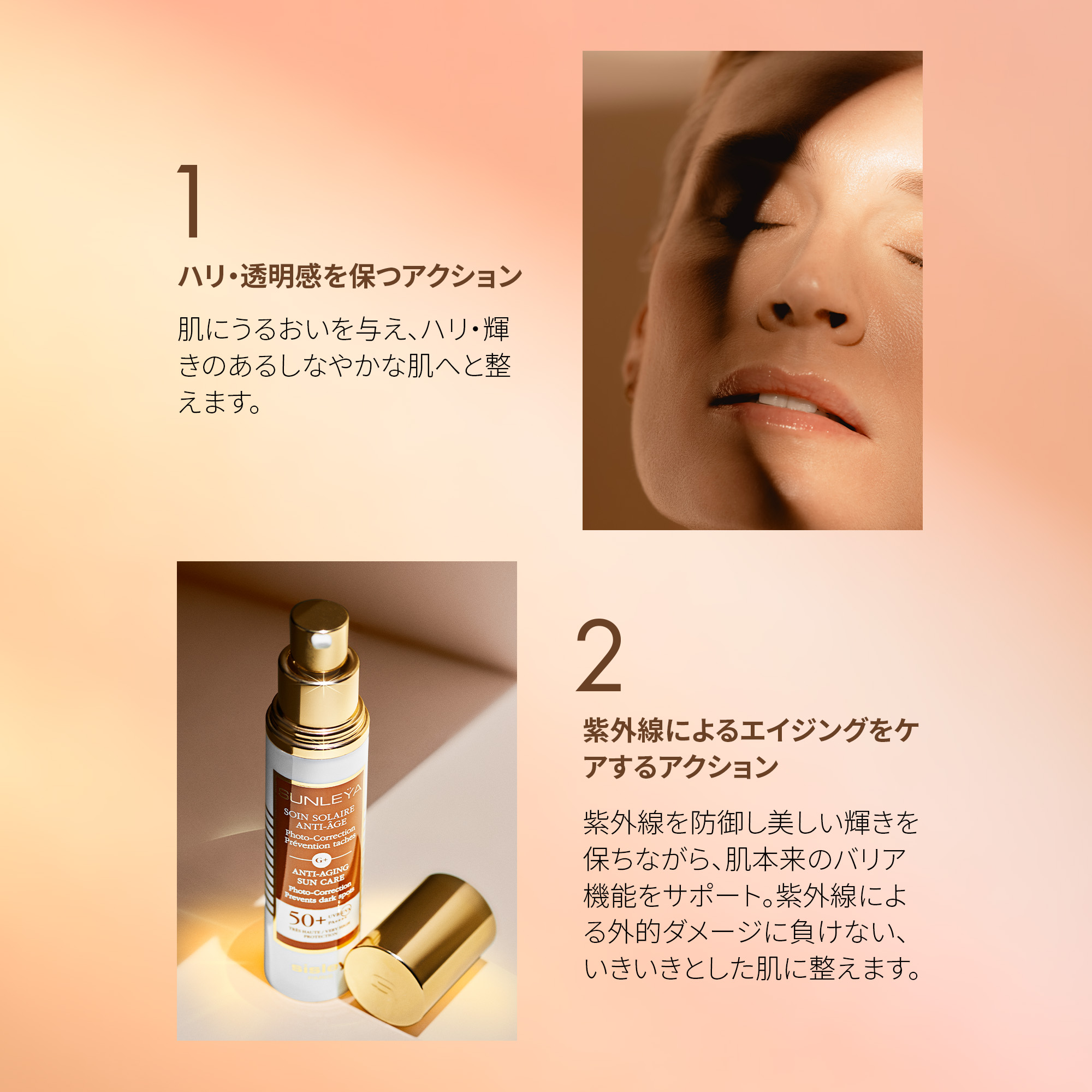 楽天市場】【ポイント10倍】 【公式】 シスレー サンレイヤ AA