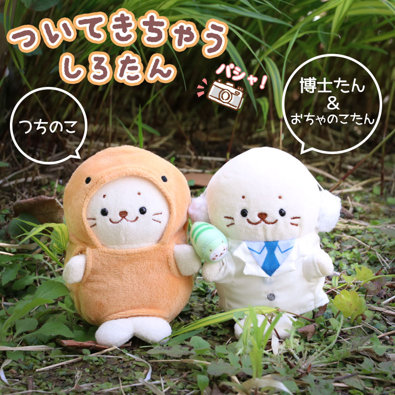 楽天市場】☆SALE セール☆しろたん ついてきちゃうしろたん