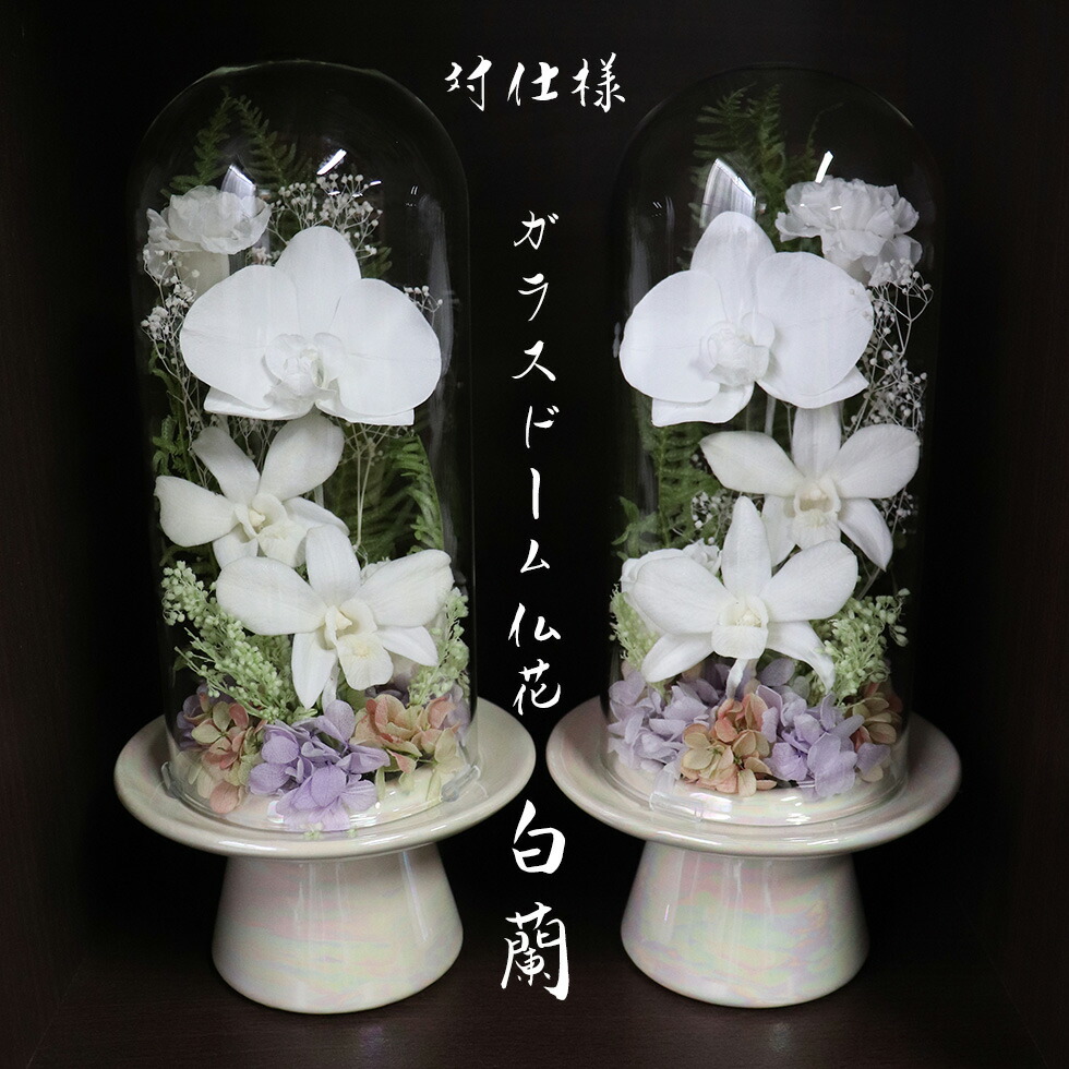 楽天市場】お供え 胡蝶蘭 プリザーブドフラワー 仏花 ガラスドーム
