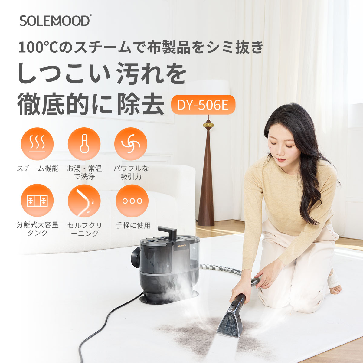 楽天市場】＼月末セールクーポンで21,800円／ カーペットクリーナー