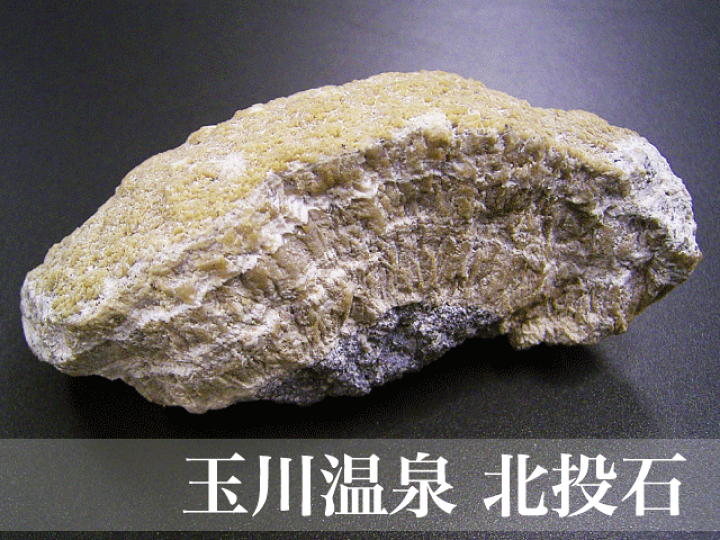 楽天市場】足温浴 玉川温泉 北投石盤癒 囲みタイプ3〜4人用