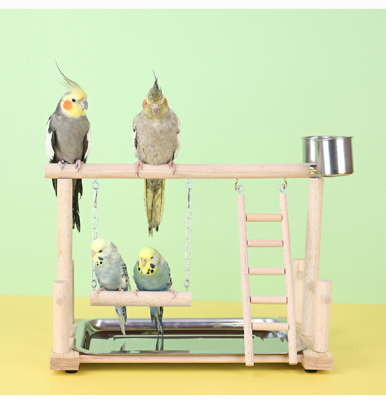 楽天市場】 【新作登場】インコ 遊び場 バード アスレチック 玩具