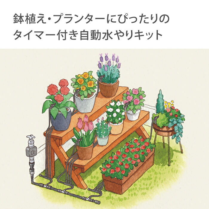 楽天市場】自動水やり機 水やりスターターキットタイマー付(鉢植え用