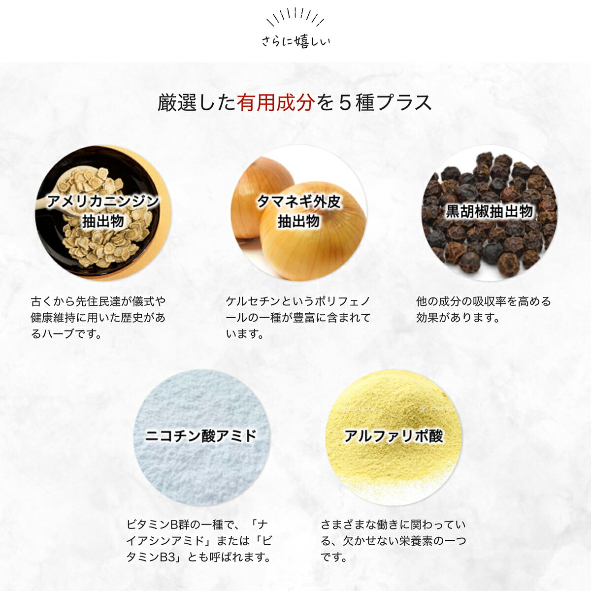 楽天市場】【マラソン限定クーポン】【メーカー正規販売店】瞬芽ブドウ