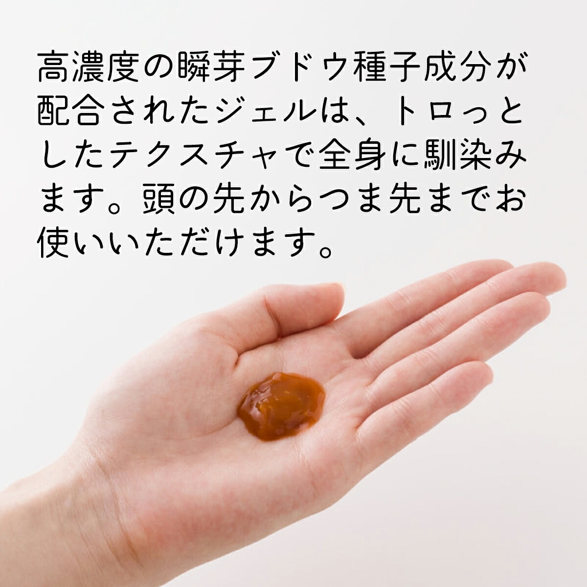 楽天市場】【マラソン限定クーポン】【メーカー正規販売店】瞬芽ブドウ